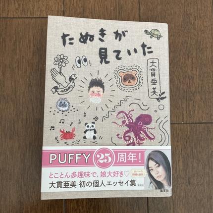 たぬきが見ていた