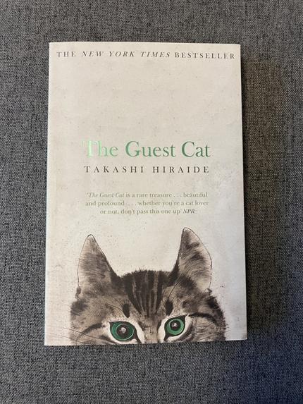 The Guest Cat