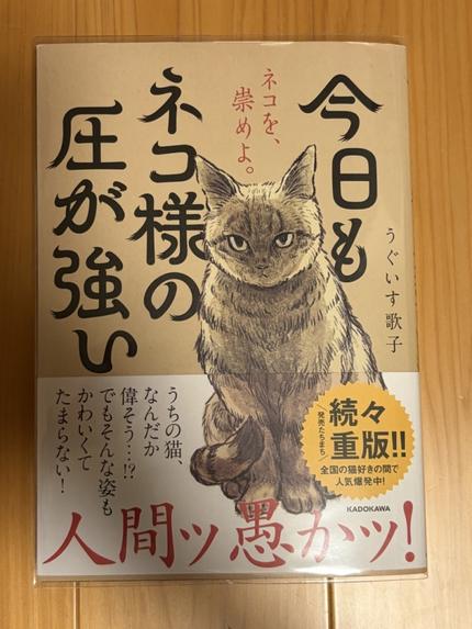 今日もネコ様の圧が強い
