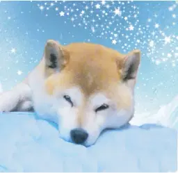 文学画廊カール君