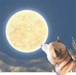 文学画廊カール君