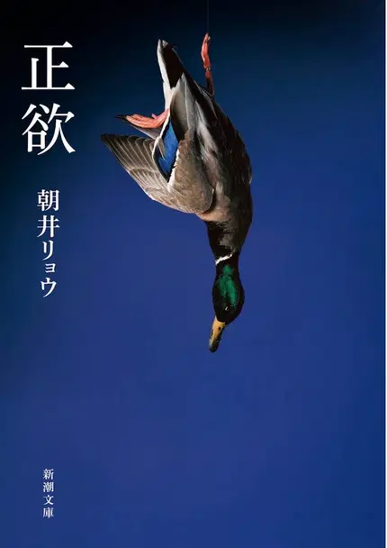 正欲