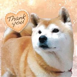 文学画廊カール君