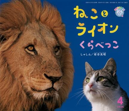 ビッグサイエンス4月号『ねこと ライオン くらべっこ』