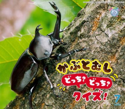 ビッグサイエンス7月号「かぶとむし どっち? どっち? クイズ!」