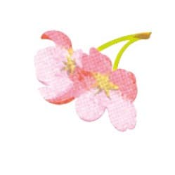 富士桜工房