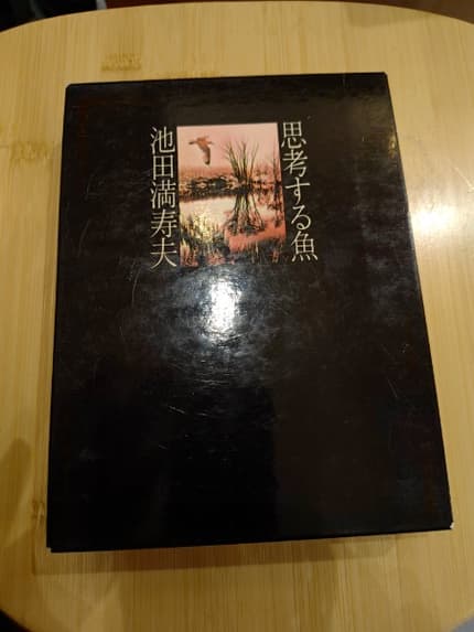思考する魚