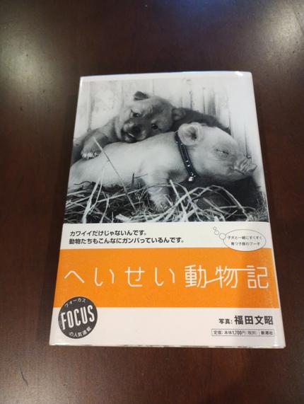 へいせい動物記