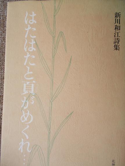 はたはたと頁がめくれ