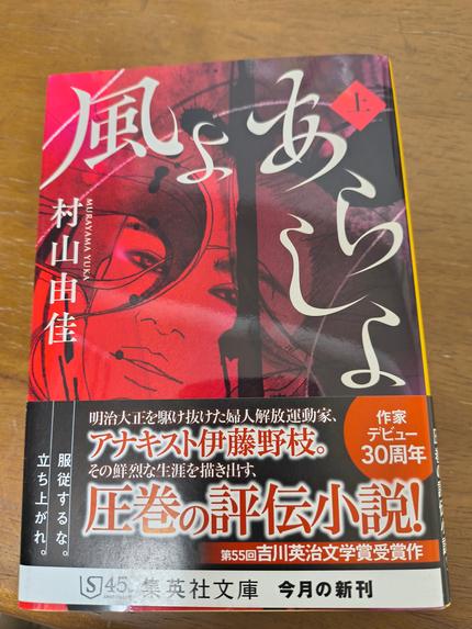 風よあらしよ 上