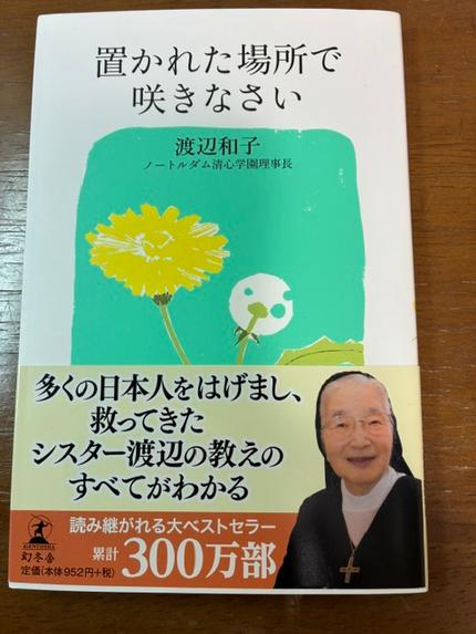 置かれた場所で咲きなさい