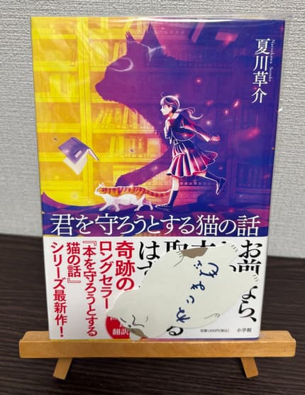 君を守ろうとする猫の話
