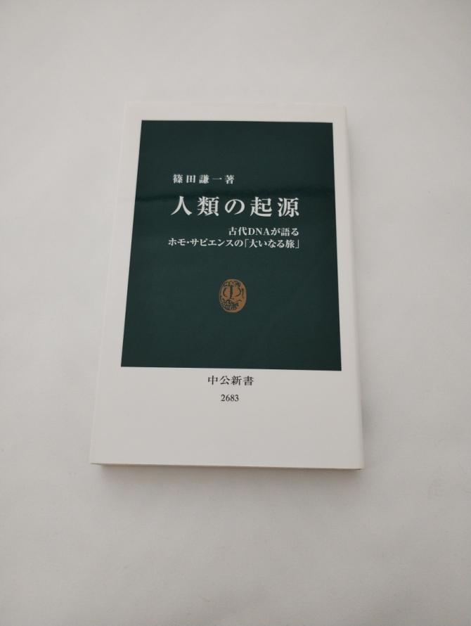 人類の起源　画像1