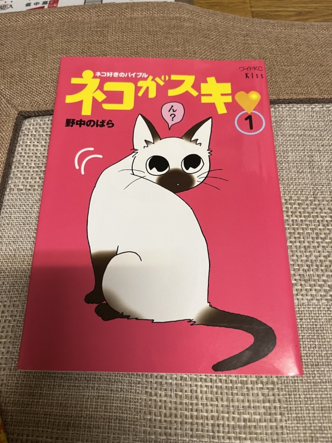 ネコがスキ❤️  野中のばら　画像1