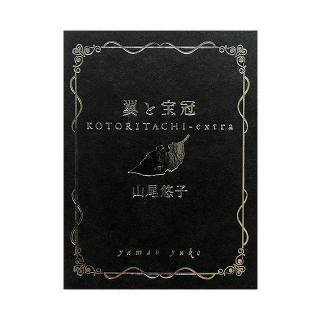 『翼と宝冠』山尾悠子　画像1