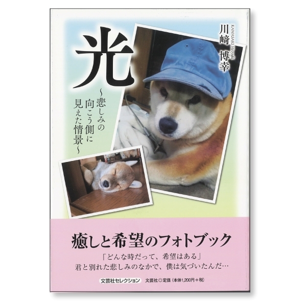 光 ～悲しみの向こう側に見えた情景～　画像1