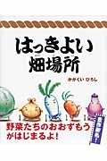 はっきよい畑場所　画像1