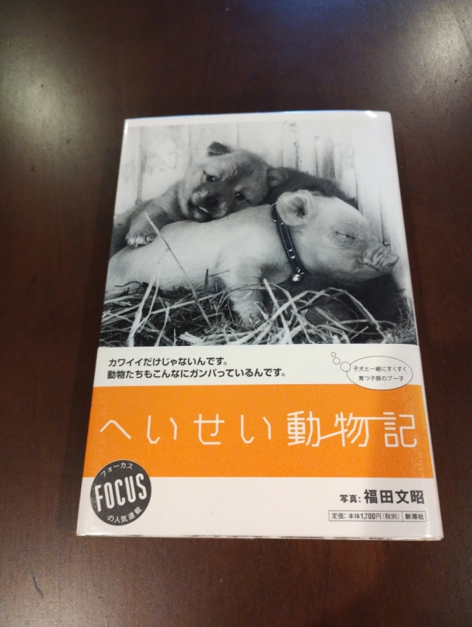 へいせい動物記　画像1