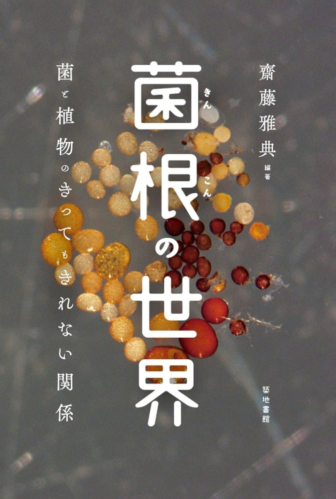 菌根の世界　画像1
