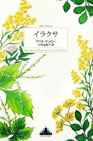 イラクサ　画像1
