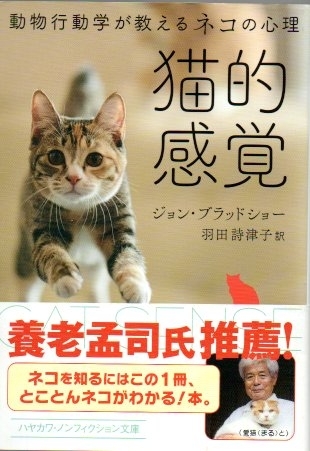 猫的感覚　動物行動学が教えるネコの心理　画像1