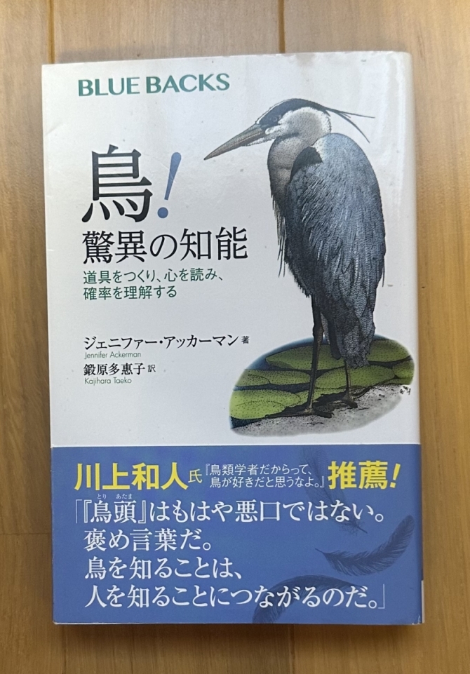 鳥！　驚異の知能　画像1