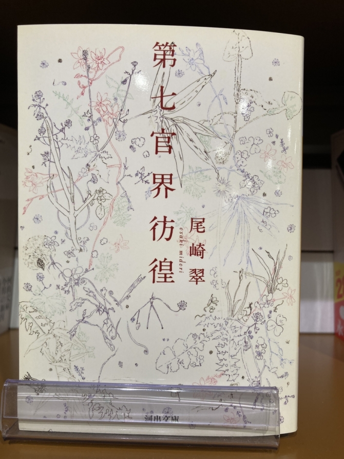 第七官界彷徨　画像1