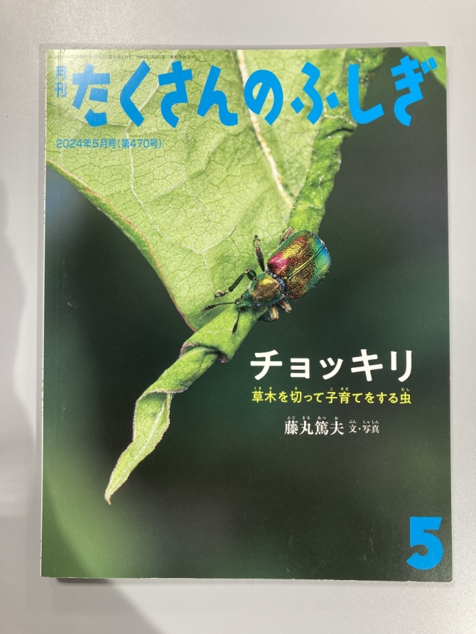 たくさんのふしぎ　チョッキリ　画像1