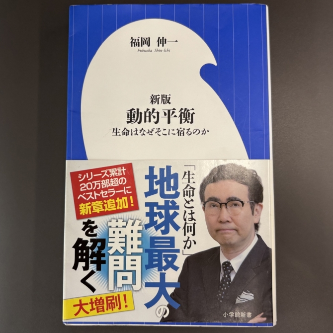 新版　動的平衡　画像1