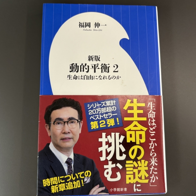 新版　動的平衡２　画像1
