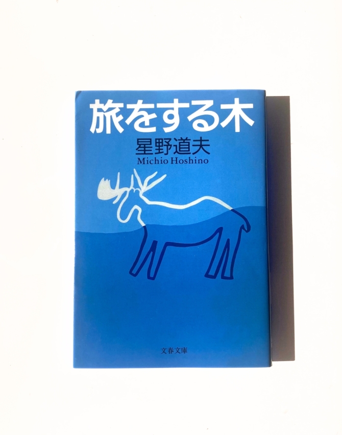 旅をする木　画像1