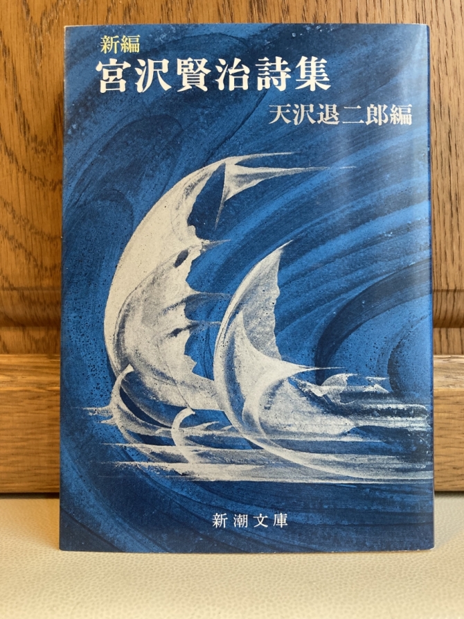 新編宮沢賢治詩集　天沢退二郎編　画像1