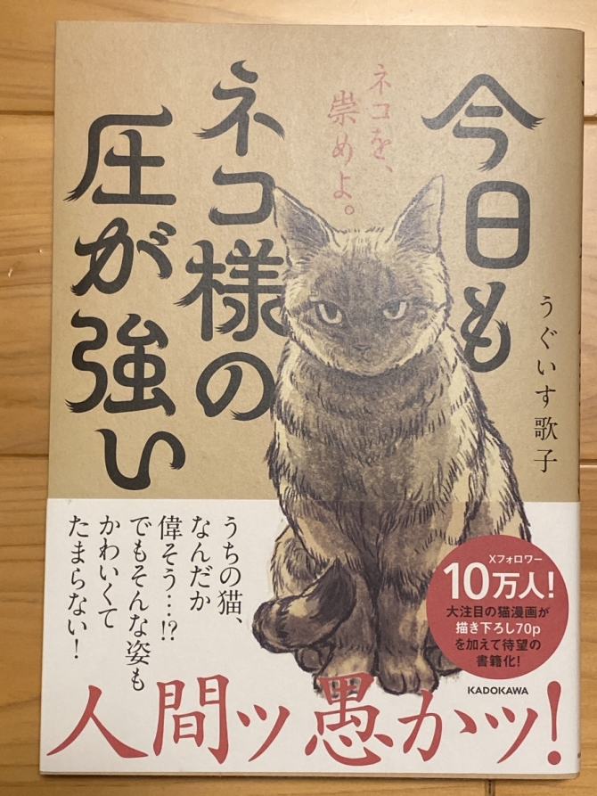 今日もネコ様の圧が強い　画像1