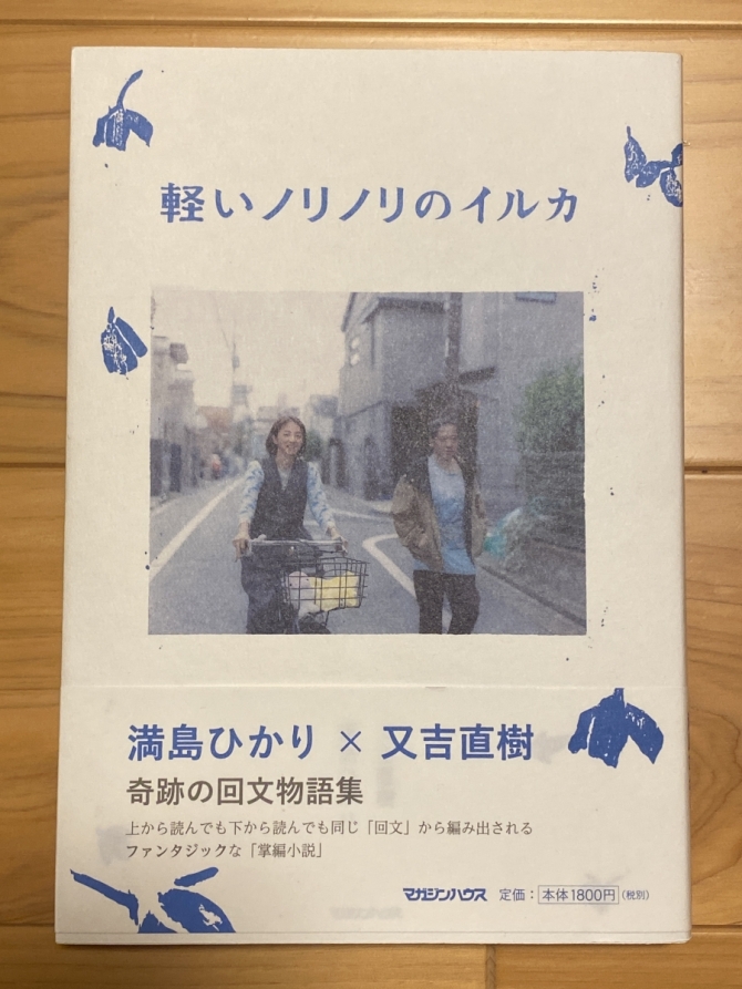 軽いノリノリのイルカ　画像1
