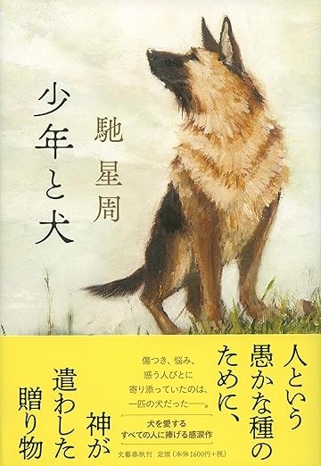 少年と犬　画像1
