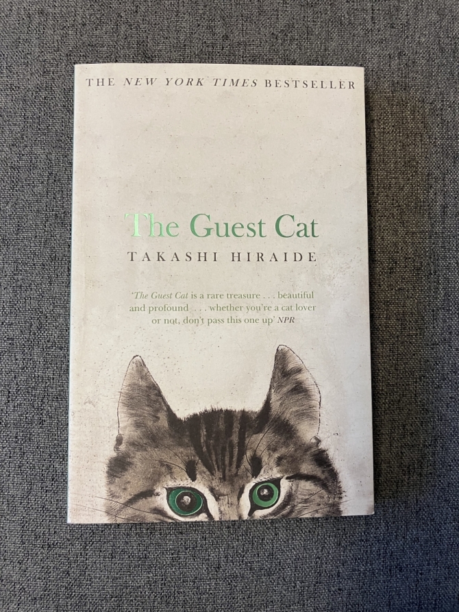 The Guest Cat　画像1