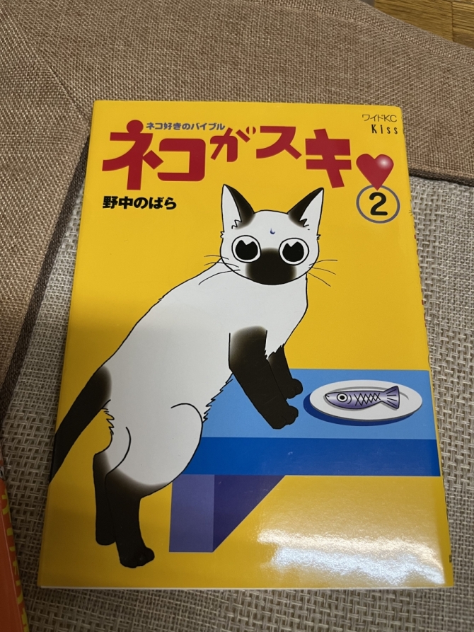 ネコがスキ❤️  野中のばら　画像2