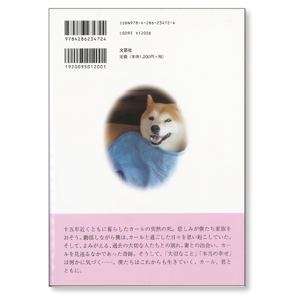 光 ～悲しみの向こう側に見えた情景～　画像2