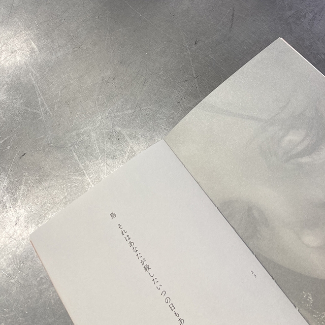 『人形歌集　羽あるいは骨』 川野芽生　中川多理　画像2