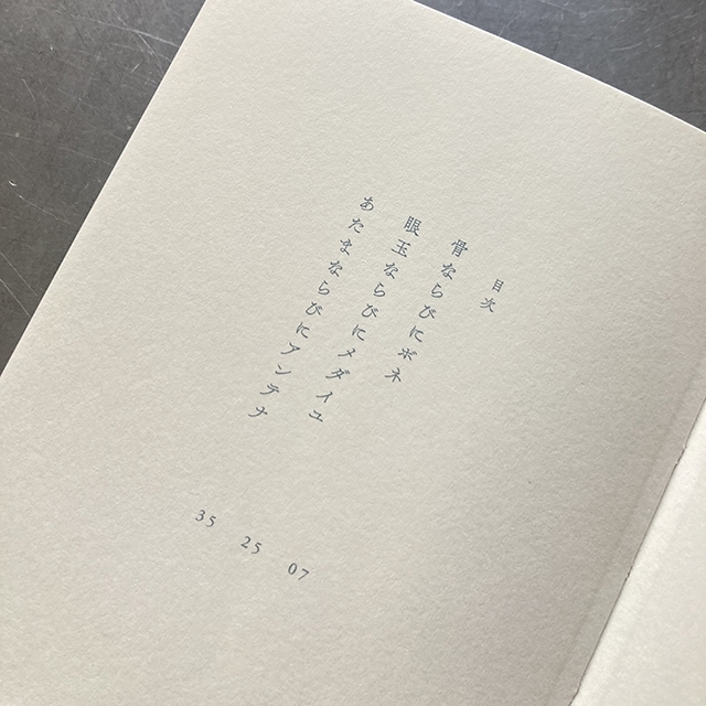 『人形歌集　骨ならびにボネ』 川野芽生　中川多理　画像2