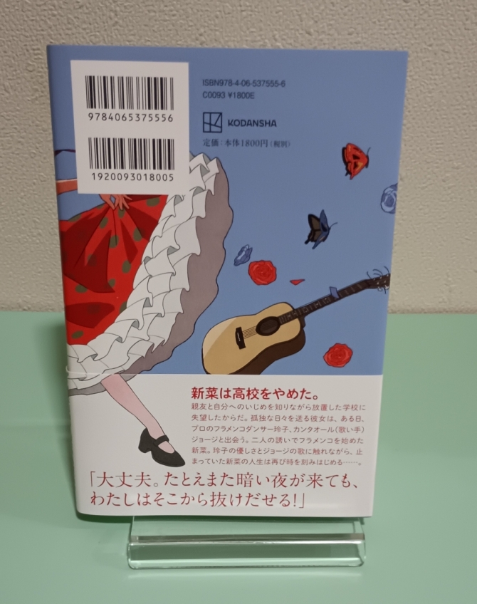17歳のサリーダ　画像2