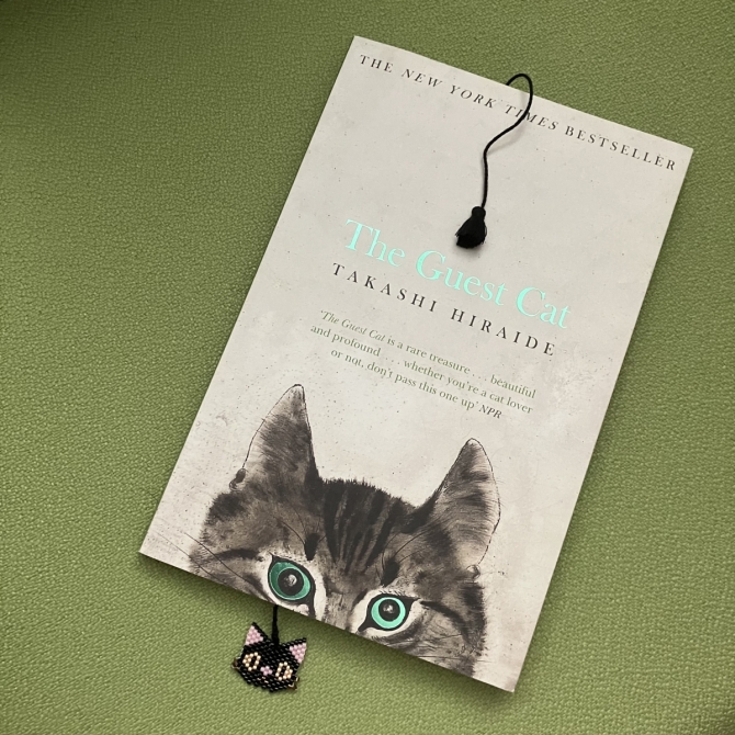 The Guest Cat　画像2