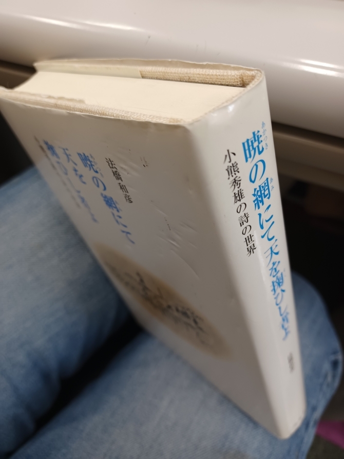 法橋和彦『暁の網にて天を掬いし者よ――小熊秀雄の詩の世界』未知谷、2007年　画像3