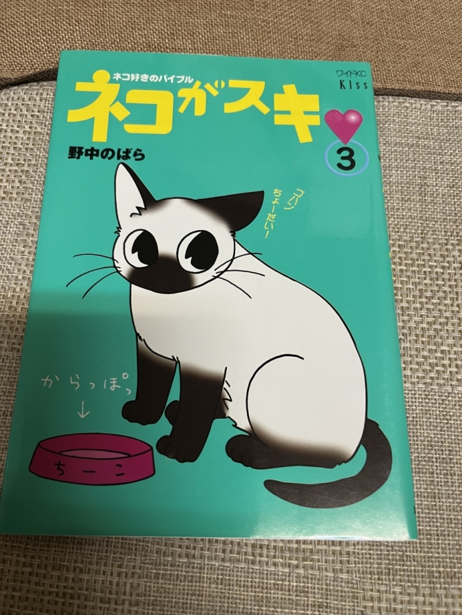 ネコがスキ❤️  野中のばら　画像3