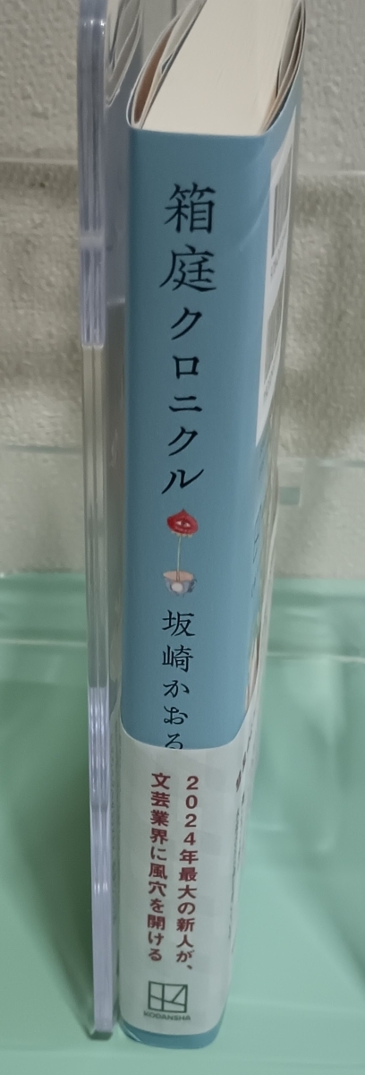 箱庭クロニクル　画像3