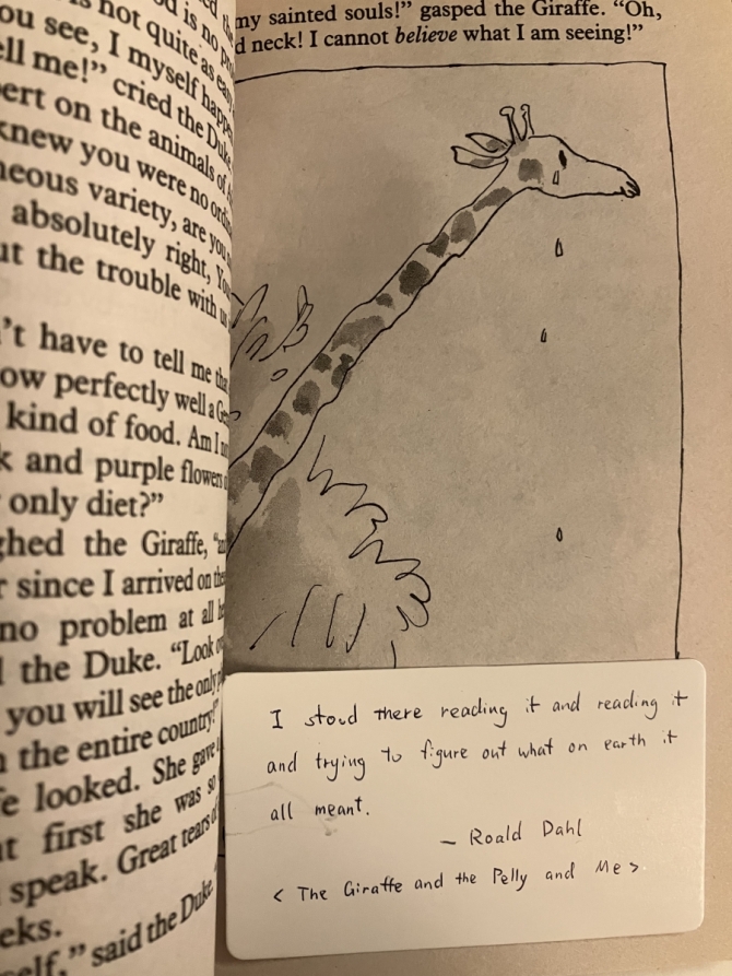 The Giraffe and the Pelly and Me　画像3