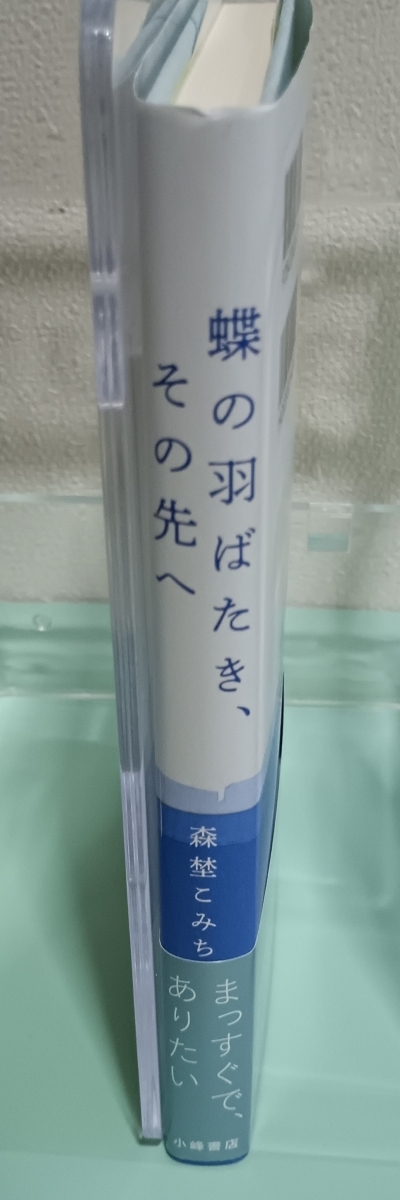 蝶の羽ばたき、その先へ　画像3