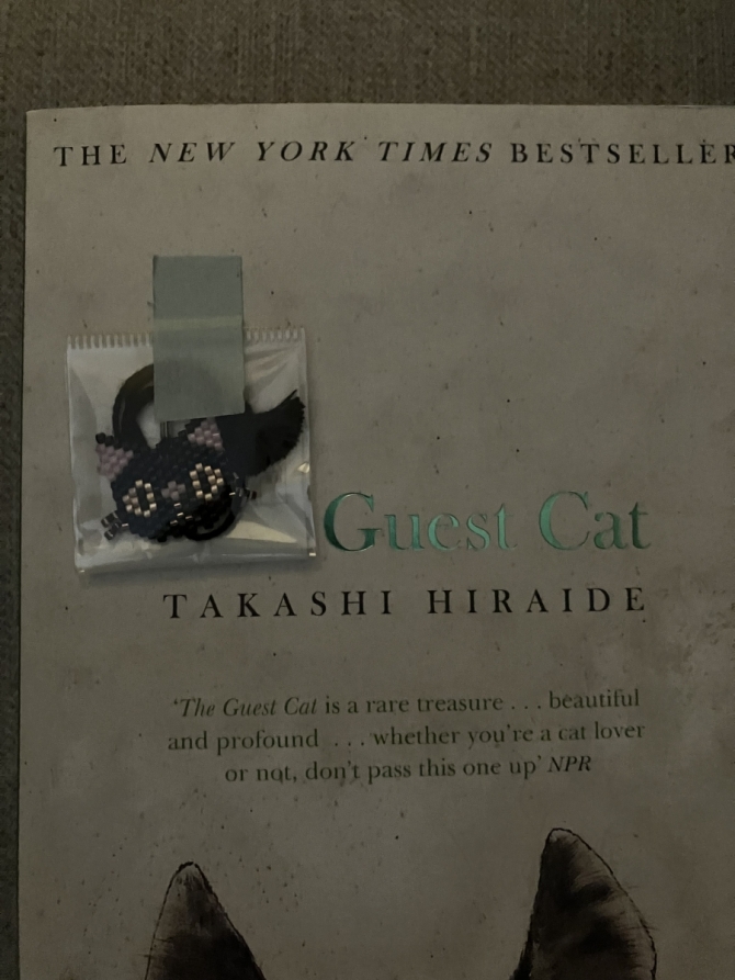 The Guest Cat　画像3