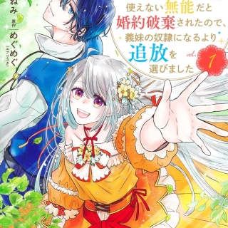 精霊魔法が使えない無能だと婚約破棄されたので、義妹の奴隷になるより追放を選びました 1