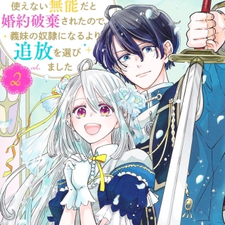 精霊魔法が使えない無能だと婚約破棄されたので、義妹の奴隷になるより追放を選びました 2